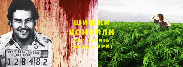 PSILOCYBIN Алзамай