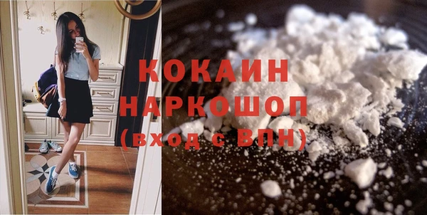 PSILOCYBIN Алзамай