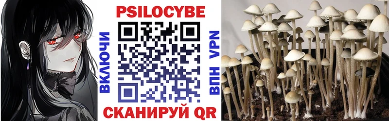 Галлюциногенные грибы GOLDEN TEACHER  Цивильск 